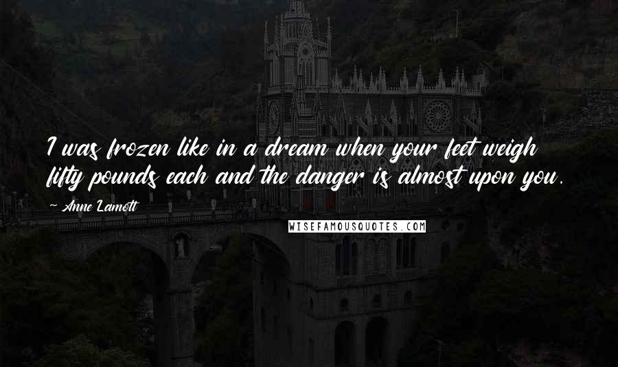 Anne Lamott Quotes: I was frozen like in a dream when your feet weigh fifty pounds each and the danger is almost upon you.