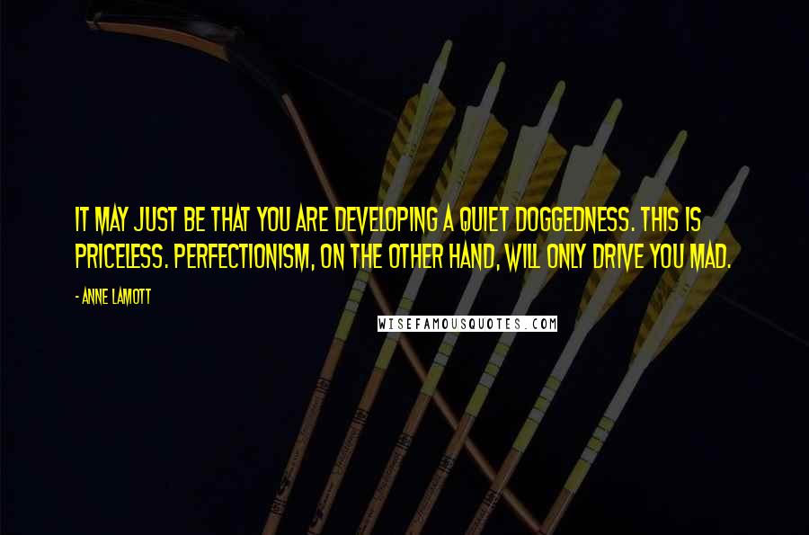 Anne Lamott Quotes: It may just be that you are developing a quiet doggedness. This is priceless. Perfectionism, on the other hand, will only drive you mad.