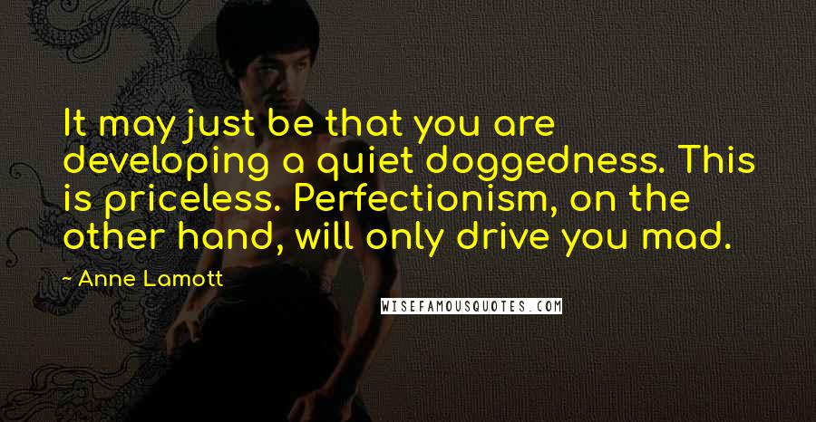 Anne Lamott Quotes: It may just be that you are developing a quiet doggedness. This is priceless. Perfectionism, on the other hand, will only drive you mad.