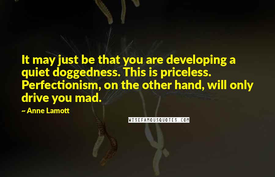 Anne Lamott Quotes: It may just be that you are developing a quiet doggedness. This is priceless. Perfectionism, on the other hand, will only drive you mad.