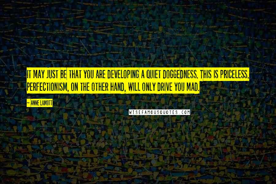 Anne Lamott Quotes: It may just be that you are developing a quiet doggedness. This is priceless. Perfectionism, on the other hand, will only drive you mad.