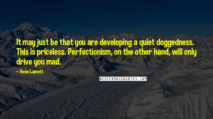 Anne Lamott Quotes: It may just be that you are developing a quiet doggedness. This is priceless. Perfectionism, on the other hand, will only drive you mad.