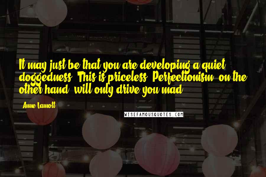 Anne Lamott Quotes: It may just be that you are developing a quiet doggedness. This is priceless. Perfectionism, on the other hand, will only drive you mad.