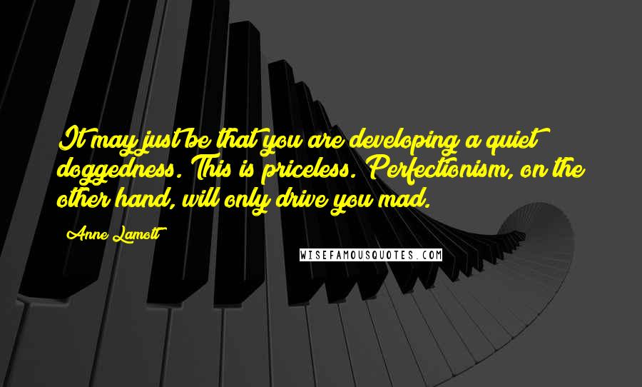 Anne Lamott Quotes: It may just be that you are developing a quiet doggedness. This is priceless. Perfectionism, on the other hand, will only drive you mad.