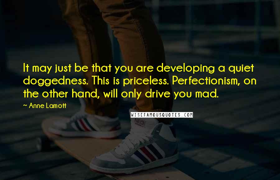 Anne Lamott Quotes: It may just be that you are developing a quiet doggedness. This is priceless. Perfectionism, on the other hand, will only drive you mad.