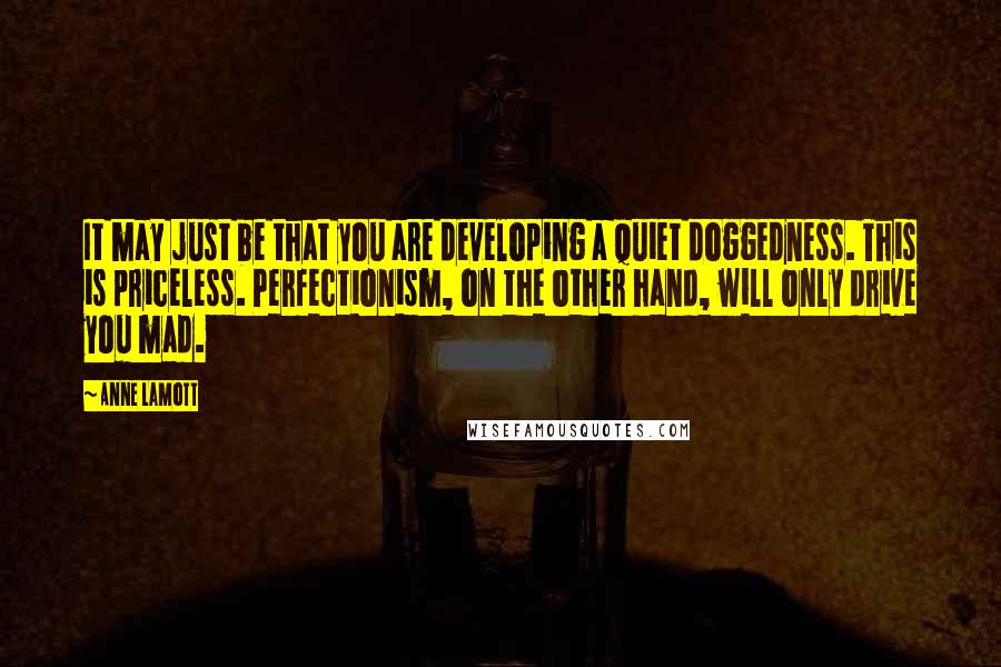 Anne Lamott Quotes: It may just be that you are developing a quiet doggedness. This is priceless. Perfectionism, on the other hand, will only drive you mad.