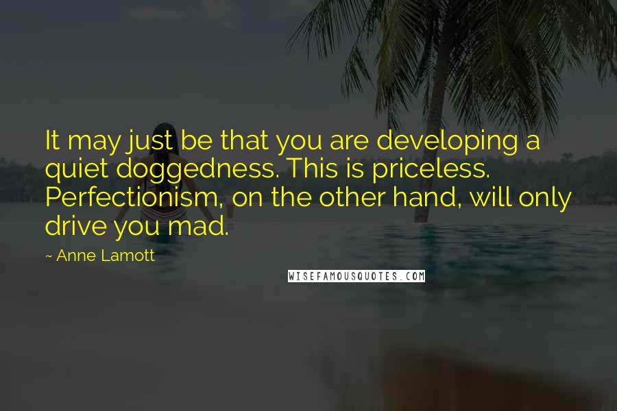 Anne Lamott Quotes: It may just be that you are developing a quiet doggedness. This is priceless. Perfectionism, on the other hand, will only drive you mad.