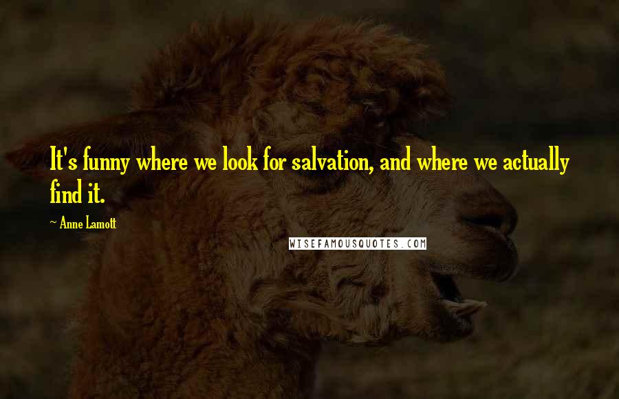 Anne Lamott Quotes: It's funny where we look for salvation, and where we actually find it.