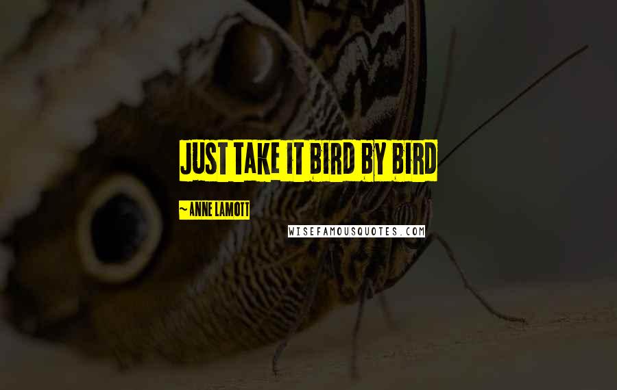 Anne Lamott Quotes: Just take it bird by bird