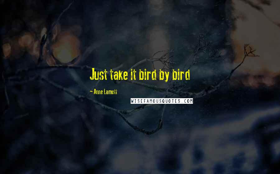 Anne Lamott Quotes: Just take it bird by bird