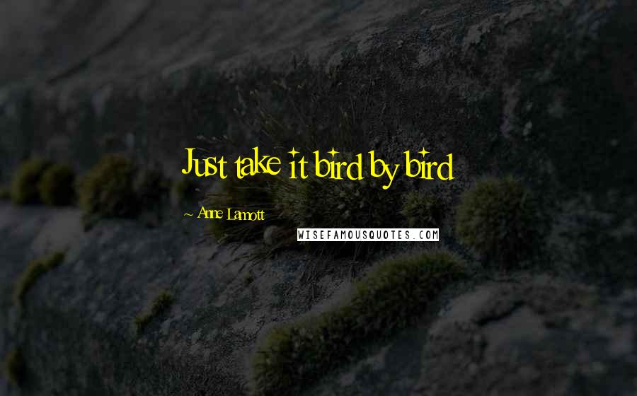 Anne Lamott Quotes: Just take it bird by bird