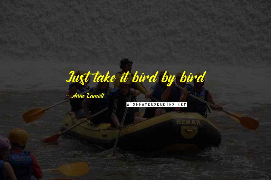 Anne Lamott Quotes: Just take it bird by bird