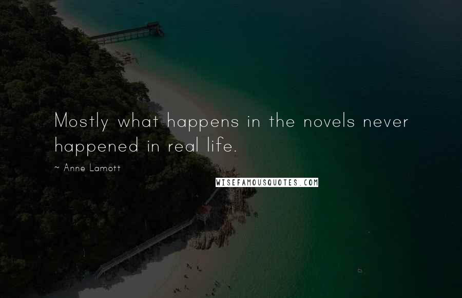 Anne Lamott Quotes: Mostly what happens in the novels never happened in real life.