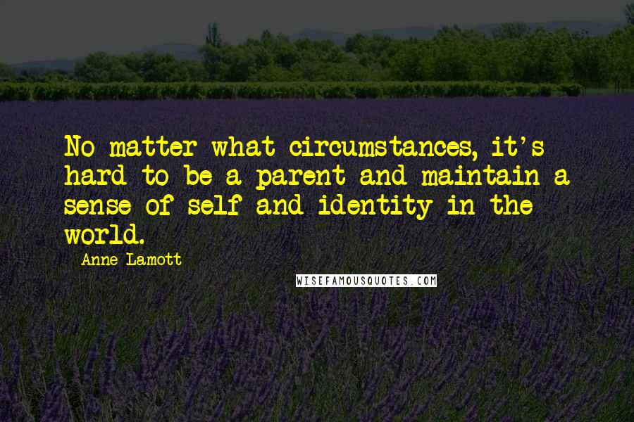 Anne Lamott Quotes: No matter what circumstances, it's hard to be a parent and maintain a sense of self and identity in the world.