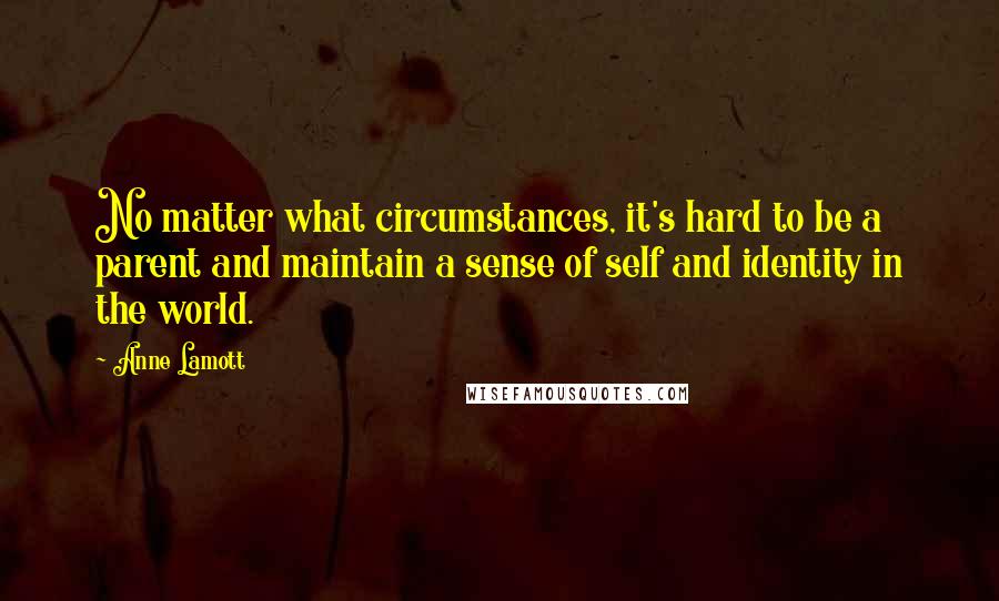 Anne Lamott Quotes: No matter what circumstances, it's hard to be a parent and maintain a sense of self and identity in the world.