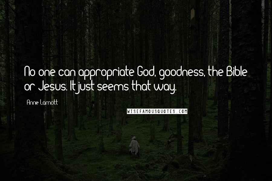 Anne Lamott Quotes: No one can appropriate God, goodness, the Bible or Jesus. It just seems that way.