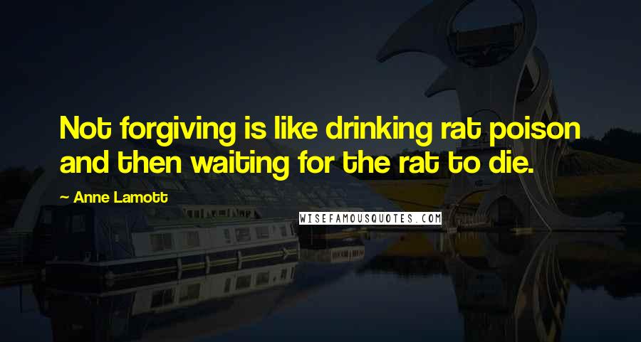Anne Lamott Quotes: Not forgiving is like drinking rat poison and then waiting for the rat to die.