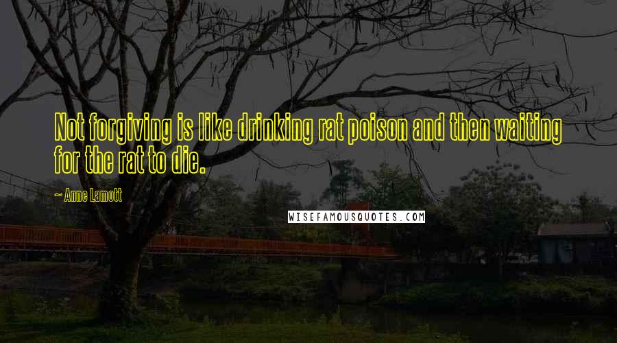 Anne Lamott Quotes: Not forgiving is like drinking rat poison and then waiting for the rat to die.