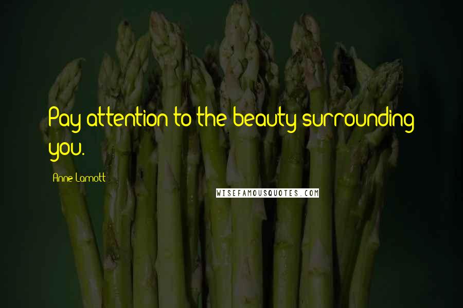 Anne Lamott Quotes: Pay attention to the beauty surrounding you.