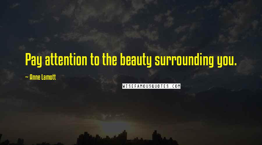 Anne Lamott Quotes: Pay attention to the beauty surrounding you.