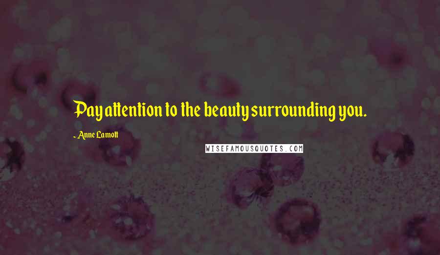 Anne Lamott Quotes: Pay attention to the beauty surrounding you.
