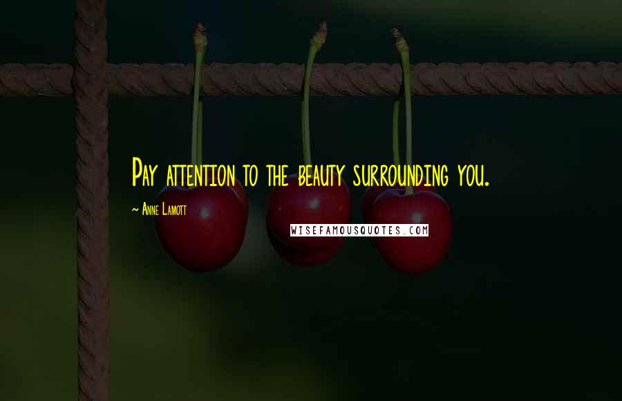 Anne Lamott Quotes: Pay attention to the beauty surrounding you.