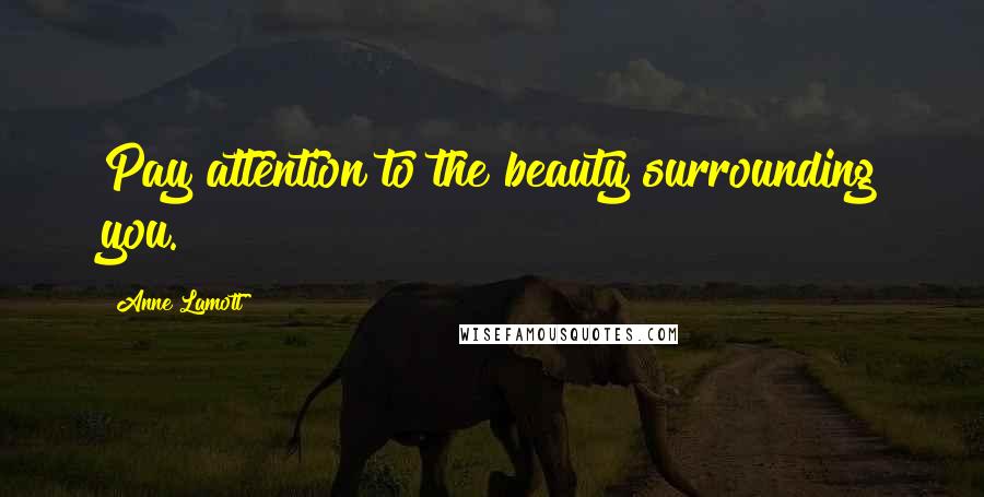 Anne Lamott Quotes: Pay attention to the beauty surrounding you.