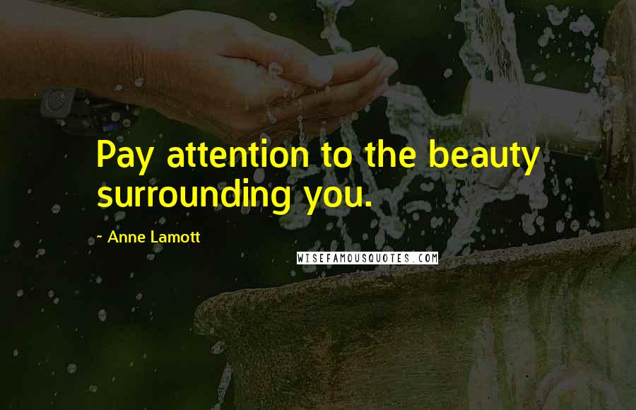 Anne Lamott Quotes: Pay attention to the beauty surrounding you.