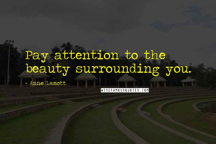 Anne Lamott Quotes: Pay attention to the beauty surrounding you.
