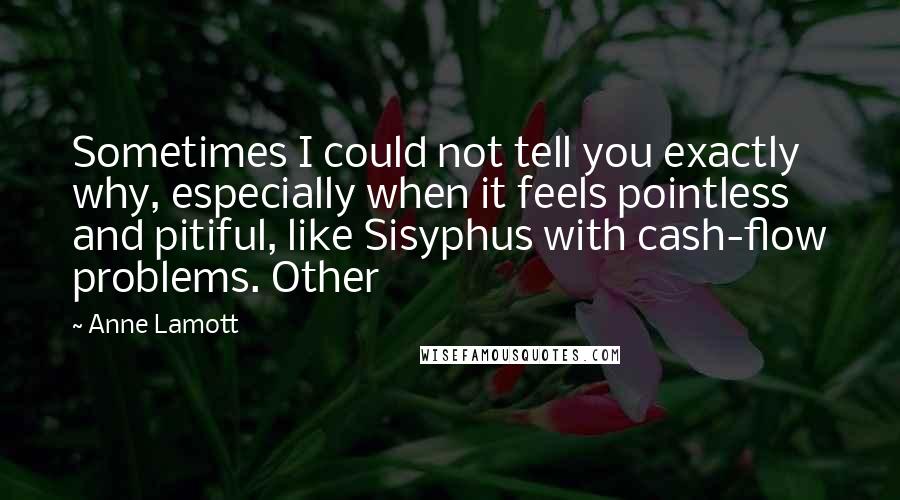 Anne Lamott Quotes: Sometimes I could not tell you exactly why, especially when it feels pointless and pitiful, like Sisyphus with cash-flow problems. Other