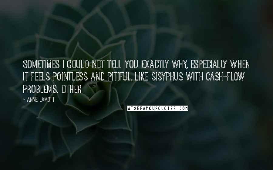 Anne Lamott Quotes: Sometimes I could not tell you exactly why, especially when it feels pointless and pitiful, like Sisyphus with cash-flow problems. Other