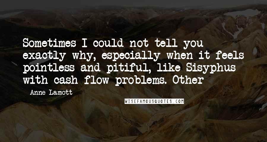 Anne Lamott Quotes: Sometimes I could not tell you exactly why, especially when it feels pointless and pitiful, like Sisyphus with cash-flow problems. Other