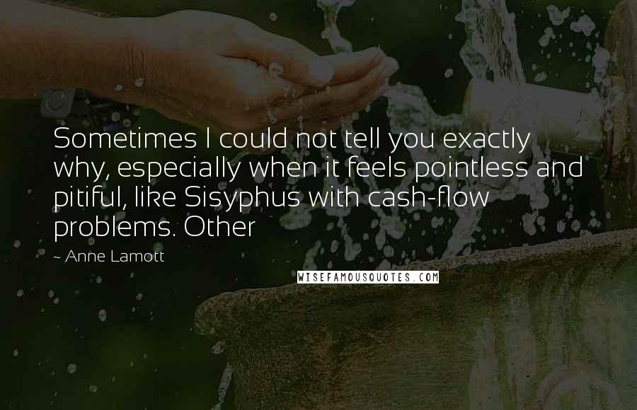 Anne Lamott Quotes: Sometimes I could not tell you exactly why, especially when it feels pointless and pitiful, like Sisyphus with cash-flow problems. Other