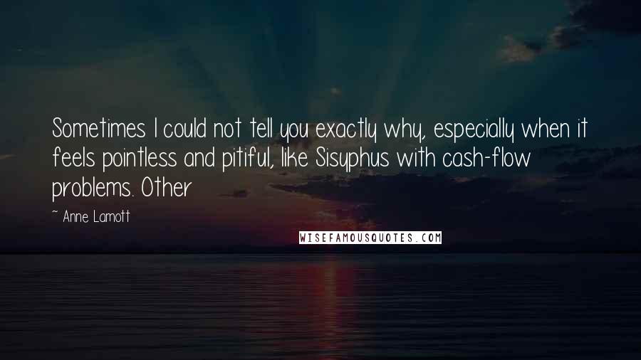 Anne Lamott Quotes: Sometimes I could not tell you exactly why, especially when it feels pointless and pitiful, like Sisyphus with cash-flow problems. Other