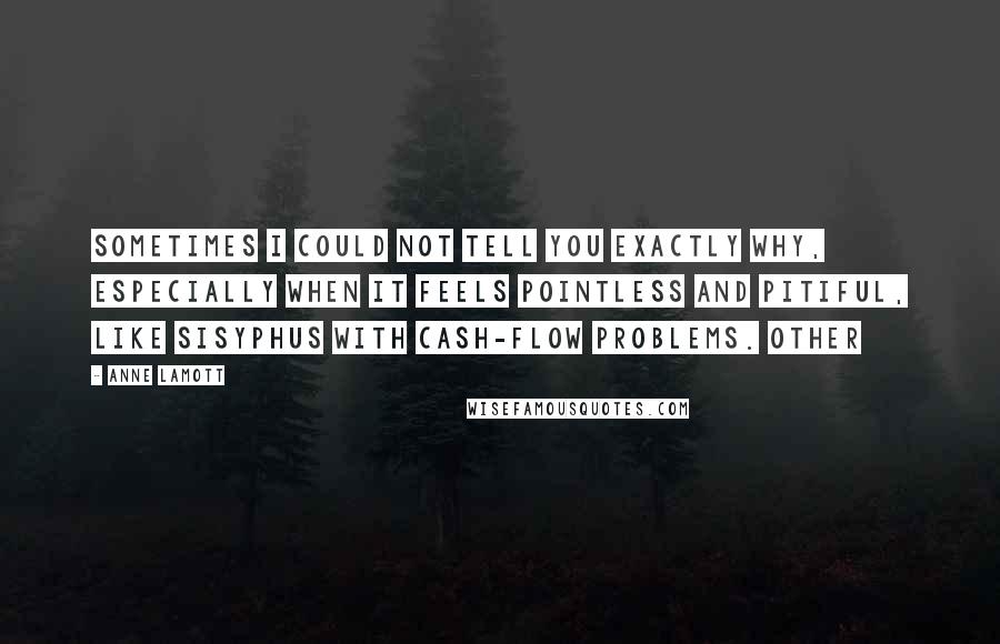 Anne Lamott Quotes: Sometimes I could not tell you exactly why, especially when it feels pointless and pitiful, like Sisyphus with cash-flow problems. Other