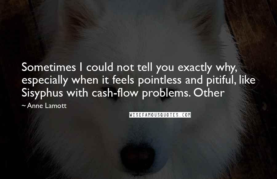 Anne Lamott Quotes: Sometimes I could not tell you exactly why, especially when it feels pointless and pitiful, like Sisyphus with cash-flow problems. Other