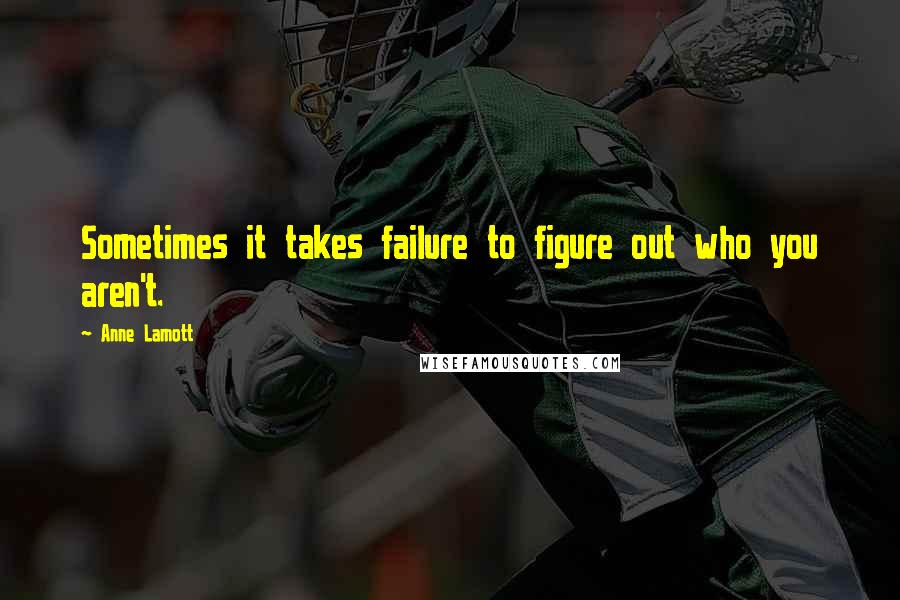 Anne Lamott Quotes: Sometimes it takes failure to figure out who you aren't.