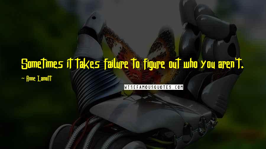 Anne Lamott Quotes: Sometimes it takes failure to figure out who you aren't.