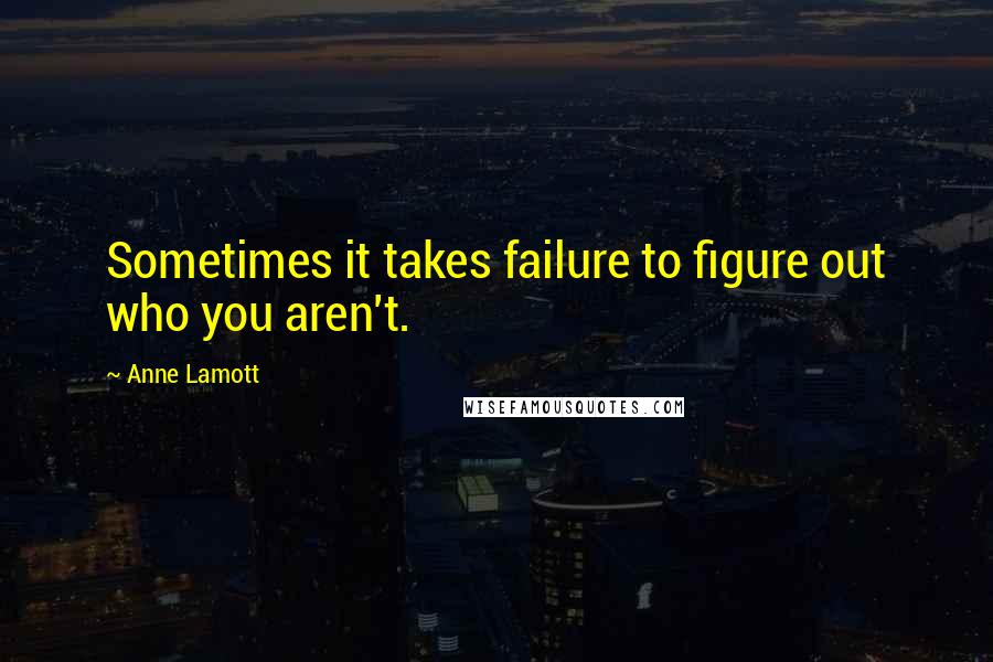Anne Lamott Quotes: Sometimes it takes failure to figure out who you aren't.