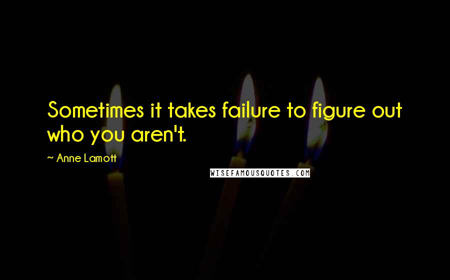 Anne Lamott Quotes: Sometimes it takes failure to figure out who you aren't.