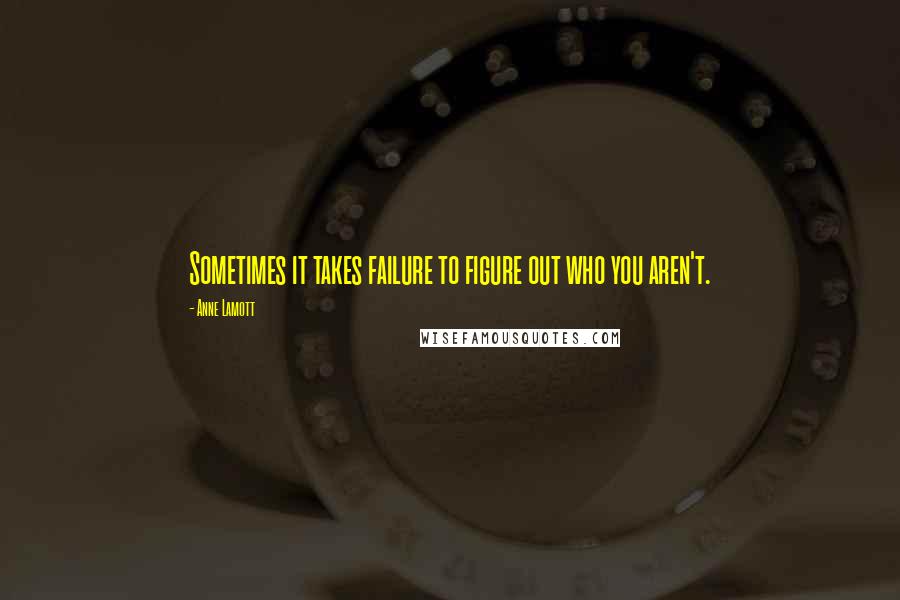 Anne Lamott Quotes: Sometimes it takes failure to figure out who you aren't.