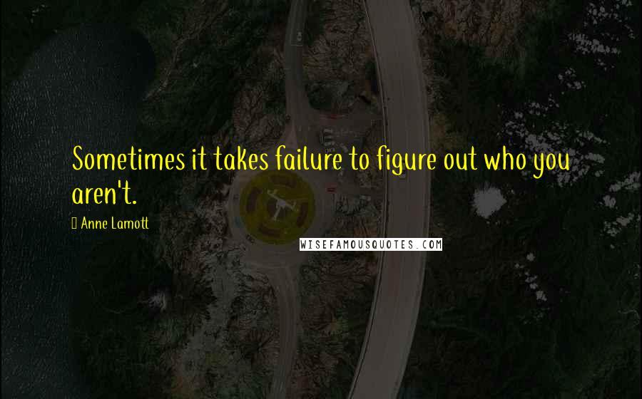 Anne Lamott Quotes: Sometimes it takes failure to figure out who you aren't.