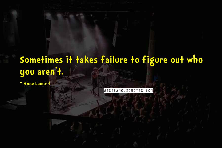 Anne Lamott Quotes: Sometimes it takes failure to figure out who you aren't.