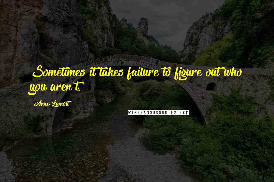 Anne Lamott Quotes: Sometimes it takes failure to figure out who you aren't.