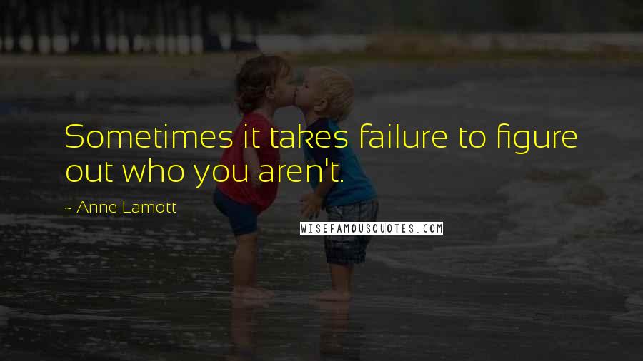 Anne Lamott Quotes: Sometimes it takes failure to figure out who you aren't.