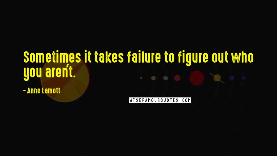 Anne Lamott Quotes: Sometimes it takes failure to figure out who you aren't.