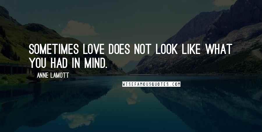 Anne Lamott Quotes: Sometimes love does not look like what you had in mind.