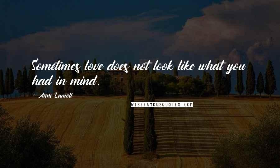 Anne Lamott Quotes: Sometimes love does not look like what you had in mind.