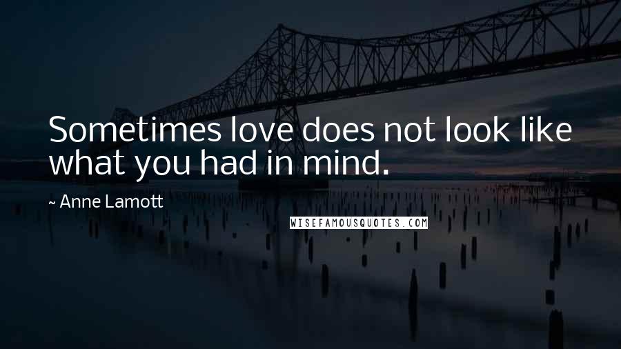 Anne Lamott Quotes: Sometimes love does not look like what you had in mind.