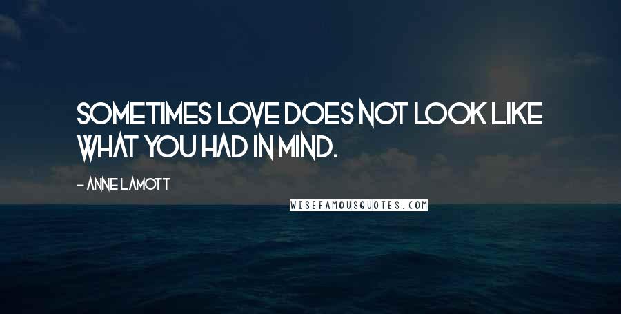 Anne Lamott Quotes: Sometimes love does not look like what you had in mind.